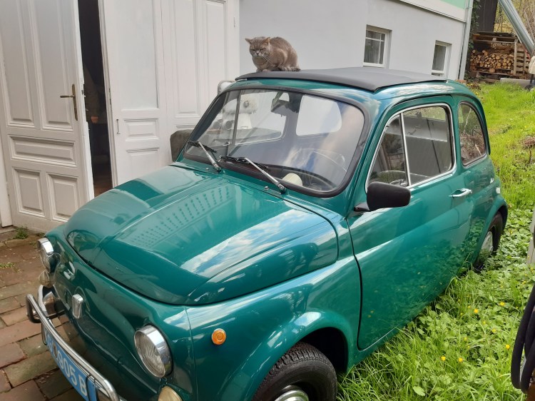 Fiat 500, Bj. 1965